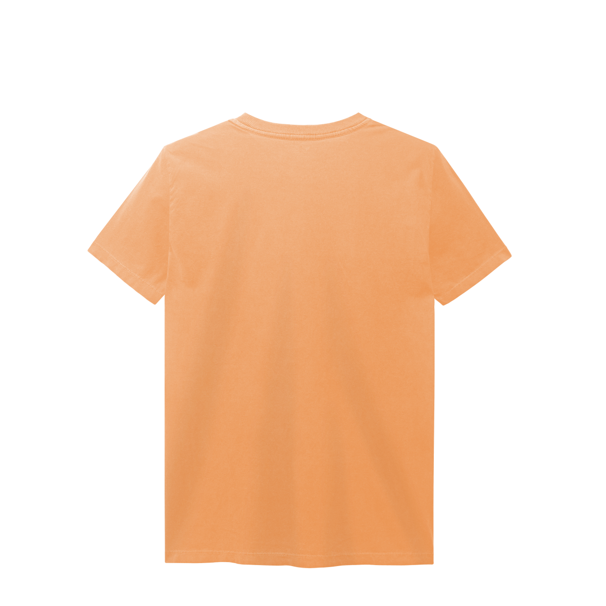 T-Shirt Estonada Lisa